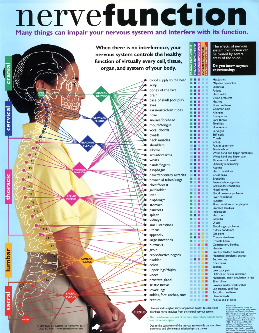 download telomeres and telomerase in