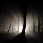 The Search