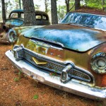 DeSoto by Teresa Moore
