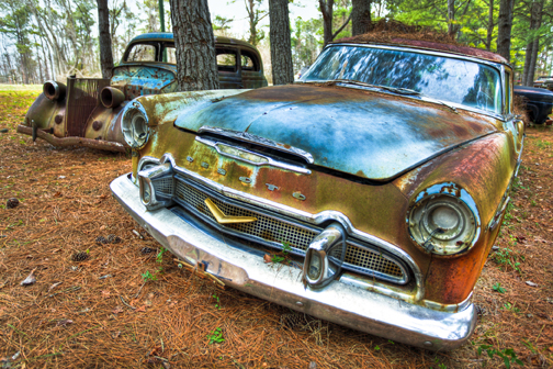 DeSoto by Teresa Moore